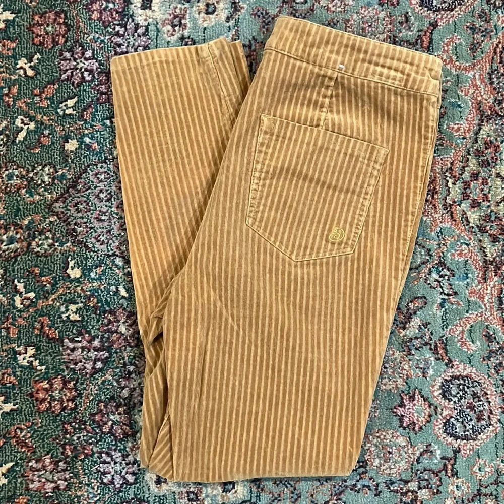 FINAL PRICE Indigo Rein Corduroy Skinny Pants - Picture 2 of 8